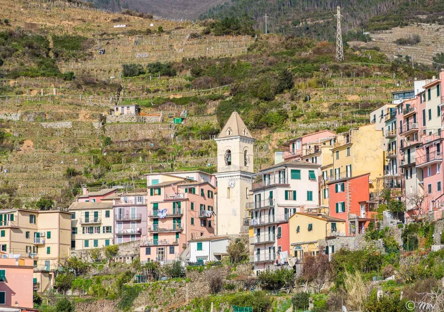 La Lampara Sea View Terrace Apartment Manarola Extérieur photo