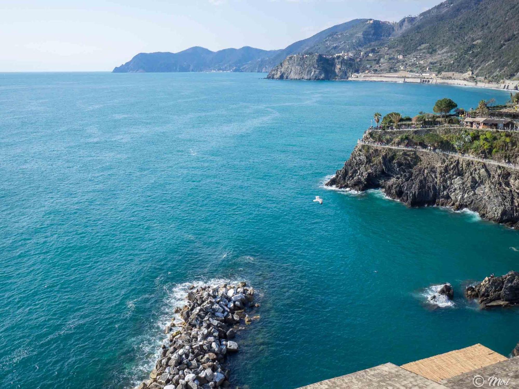 La Lampara Sea View Terrace Apartment Manarola Extérieur photo